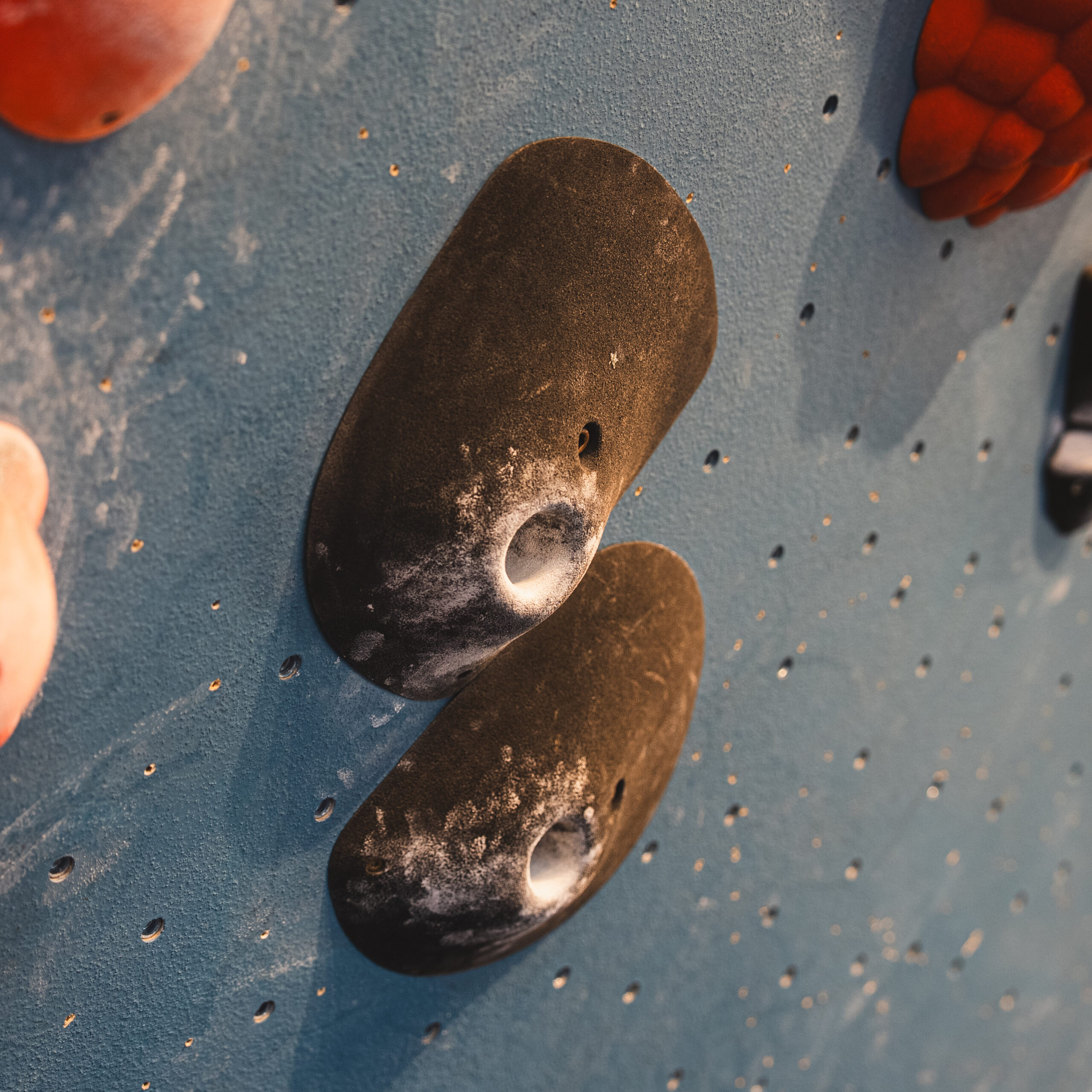 Two black rock climbing holds with chalk marks are attached to a blue indoor climbing wall; other colorful holds are partially visible nearby.