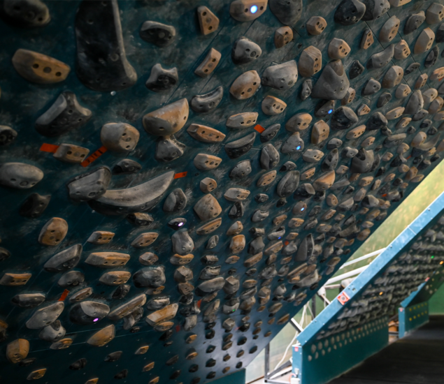 A close-up view of a steep indoor climbing wall at Springdale, densely covered with various sizes and shapes of black and brown Training Boards. The angled wall is designed for bouldering or training sessions.